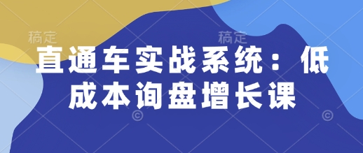 直通车实战系统：低成本询盘增长课，让个人通过技能实现升职加薪，让企业低成本获客，订单源源不断-心思维创富网_网上创业教程_网络创业项目