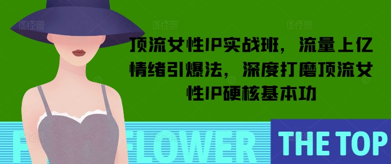 顶流女性IP实战班，流量上亿情绪引爆法，深度打磨顶流女性IP硬核基本功-心思维创富网_网上创业教程_网络创业项目