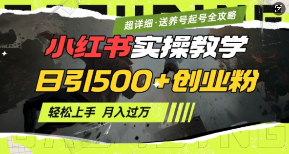 2月小红书最新日引500+创业粉实操教学【超详细】小白轻松上手，月入1W+，附小红书养号起号SOP-心思维创富网_网上创业教程_网络创业项目