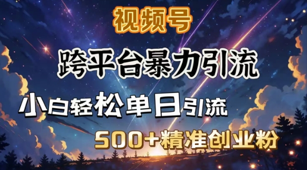 跨平台暴力引流，私域完美闭环，日引500+精准创业粉-心思维创富网_网上创业教程_网络创业项目