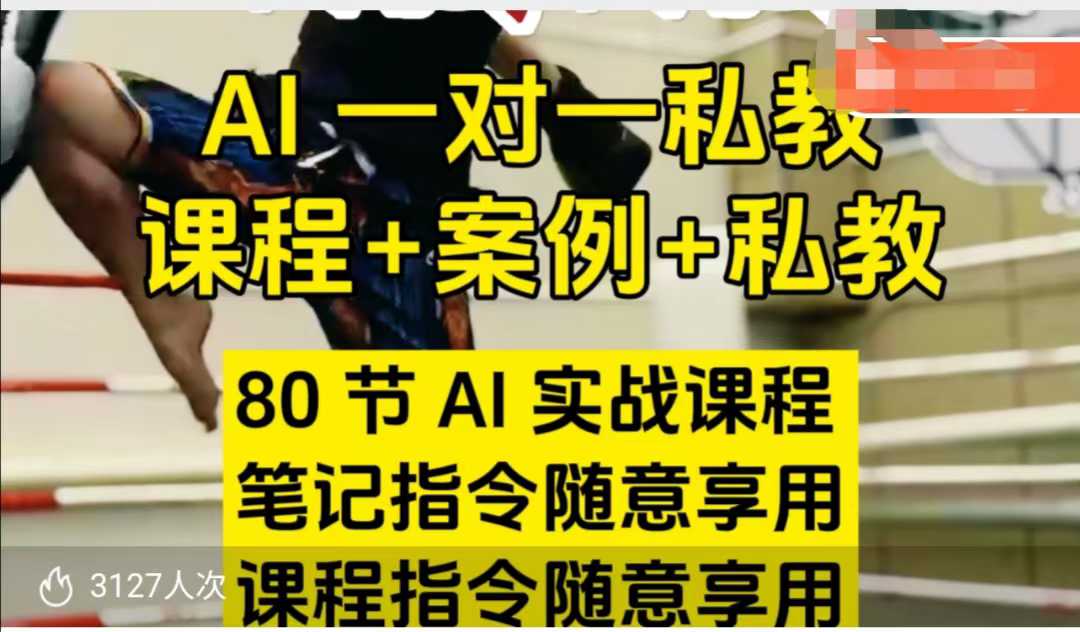 AI指令实战课，课程+案例，80节AI实战课程，笔记指令随意享用，课程指令随意享用-心思维创富网_网上创业教程_网络创业项目