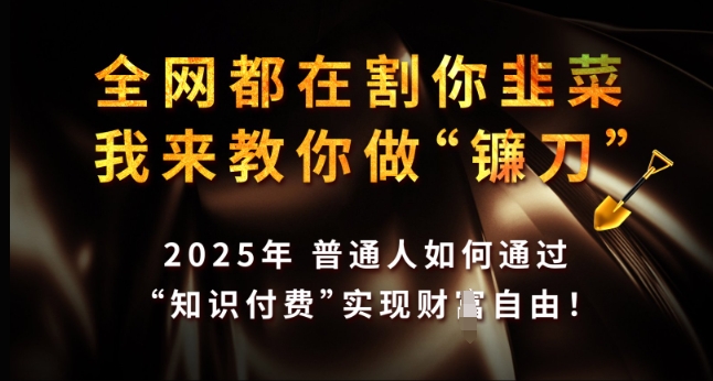 全网都在割你韭菜，我来教你做镰刀，2025年普通人如何通过 知识付费 实现财F自由【揭秘】-心思维创富网_网上创业教程_网络创业项目