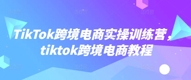 TikTok跨境电商实操训练营，tiktok跨境电商教程-心思维创富网_网上创业教程_网络创业项目