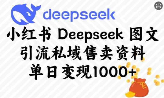 小红书Deepseek图文引流私域售卖资料，单日变现多张-心思维创富网_网上创业教程_网络创业项目