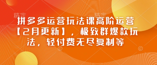 拼多多运营玩法课高阶运营【2月更新】，极致群爆款玩法，轻付费无尽复制等-心思维创富网_网上创业教程_网络创业项目
