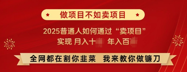 必看，做项目不如卖项目，2025普通人如何通过“卖项目”实现月入十个，年入百个-心思维创富网_网上创业教程_网络创业项目