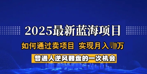 2025蓝海项目，普通人如何通过卖项目，实现月入过W，全过程【揭秘】-心思维创富网_网上创业教程_网络创业项目