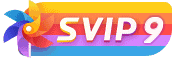 等级-SVIP9-心思维创富网_网上创业教程_网络创业项目