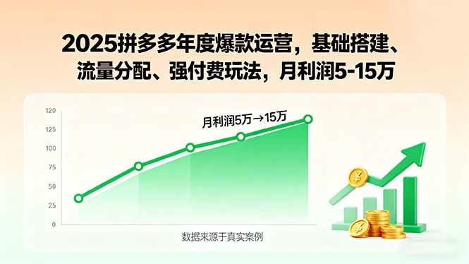 （15973期）2025拼多多年度爆款运营，基础搭建、流量分配、强付费玩法，月利润5-15万-心思维创富网_网上创业教程_网络创业项目