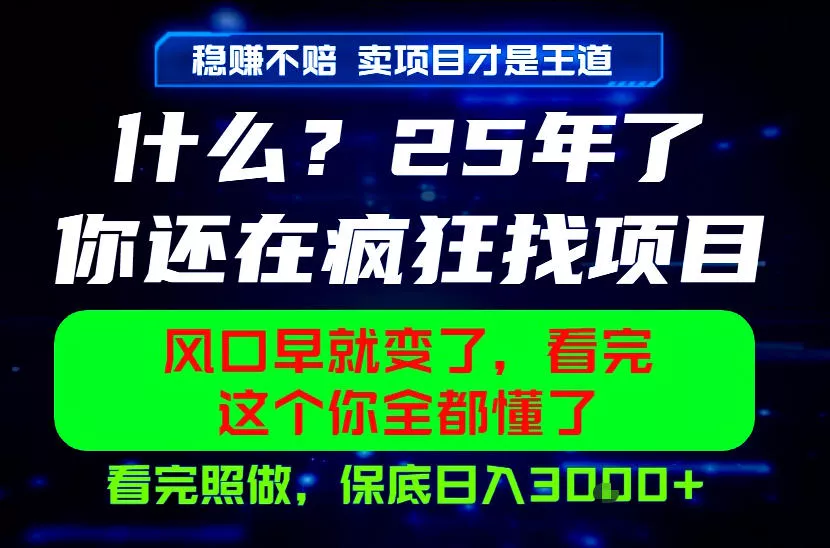 26年，请不要疯狂的找项目做了！卖项目才是真的稳賺不赔，看完照做，保底日入1k+【揭秘】-心思维创富网_网上创业教程_网络创业项目