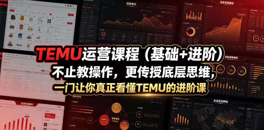 TEMU运营课程(基础+进阶)，不止教操作，更传授底层思维，一门让你真正看懂TEMU的进阶课-心思维创富网_网上创业教程_网络创业项目