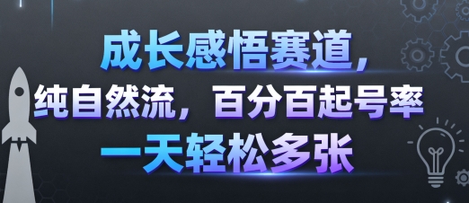 成长感悟赛道，纯自然流，百分百起号率 一天轻松多张-心思维创富网_网上创业教程_网络创业项目