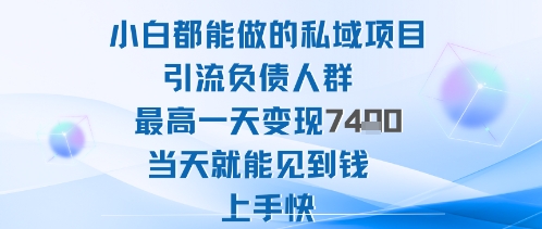 2025年小白都能做的私域项目引流负债人群最高一天变现1k+高变现难度低当天就能见到钱上手快-心思维创富网_网上创业教程_网络创业项目