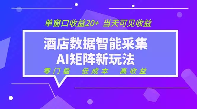 2026酒店数据采集ai智能矩阵新风口 低成本 高收益 当天见收益 单窗口20+-心思维创富网_网上创业教程_网络创业项目