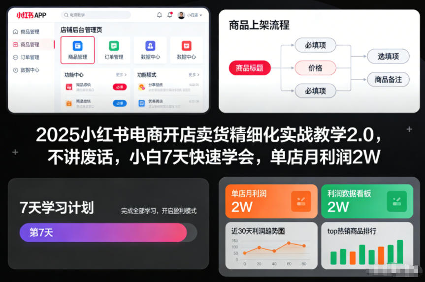 2025小红书电商开店卖货精细化实战教学2.0，不讲废话，小白7天快速学会，单店月利润2W-心思维创富网_网上创业教程_网络创业项目