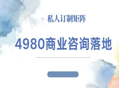 4980商业咨询师落地课程-ip运营高客单教程-心思维创富网_网上创业教程_网络创业项目