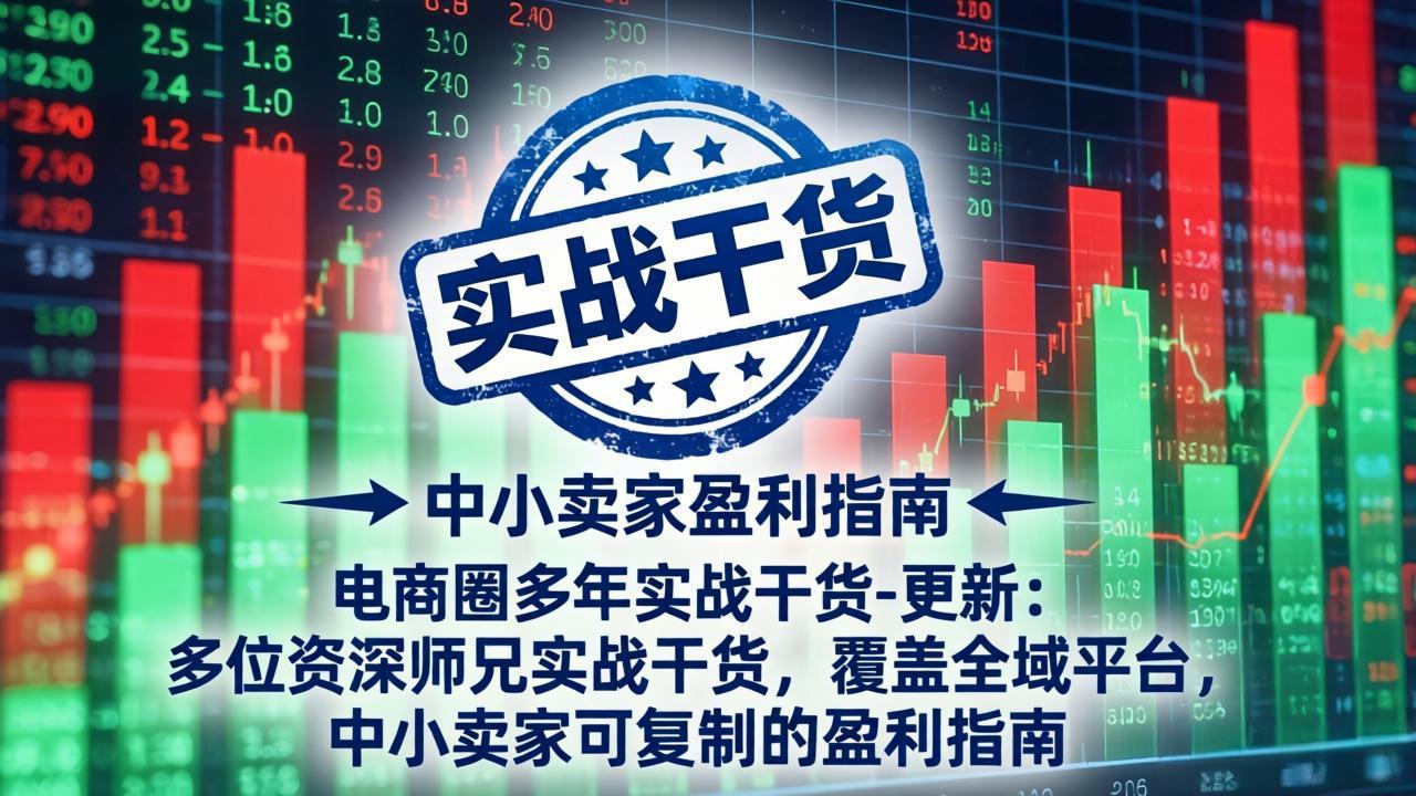 电商圈多年实战干货-更新5月10：多位资深师兄实战干货/覆盖全域平台，中小卖家可复制的盈利指南-心思维创富网_网上创业教程_网络创业项目