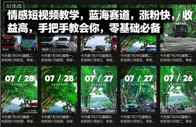 情感短视频教学，蓝海赛道，涨粉快，收益高，手把手教会你，零基础必备-心思维创富网_网上创业教程_网络创业项目