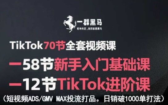TikTok全套视频课，新手入门+进阶课，短视频ADS-GMV MAX投流打品，日销破1000单打法-心思维创富网_网上创业教程_网络创业项目