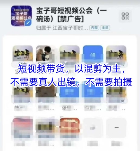 宝子哥头部团队短视频带货，以混剪为主，不需要真人出镜，不需要拍摄【更新26年3月】-心思维创富网_网上创业教程_网络创业项目