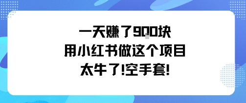 一天挣了9张用小红书做这个项目太牛了，空手套-心思维创富网_网上创业教程_网络创业项目