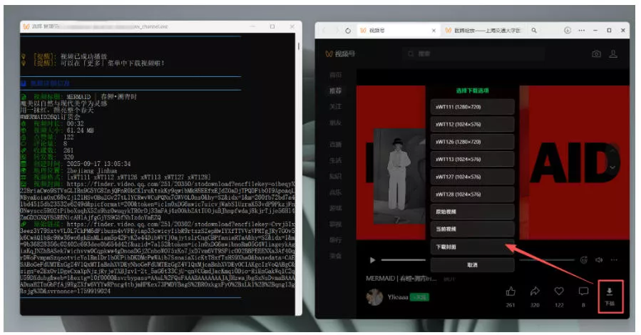 Github热门工具，视频号下载神器又来了！一键注入下载按钮，轻松下载，使用便捷wx_channel-心思维创富网_网上创业教程_网络创业项目