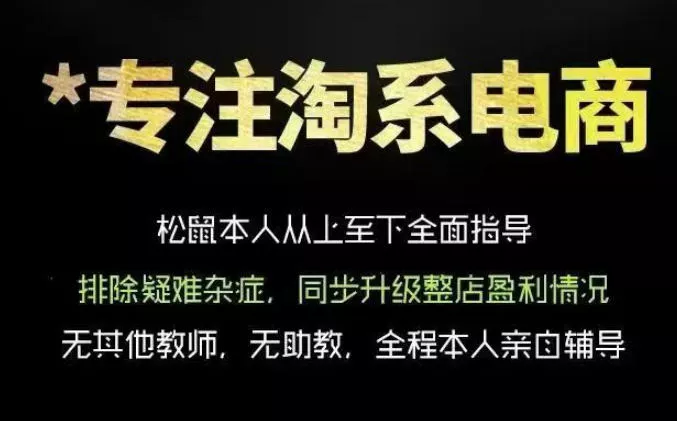 松鼠会电商VIP课程，从基础布局到高阶优化，助你掌握淘宝运营逻辑，提升店铺流量与转化(更新0815)-心思维创富网_网上创业教程_网络创业项目