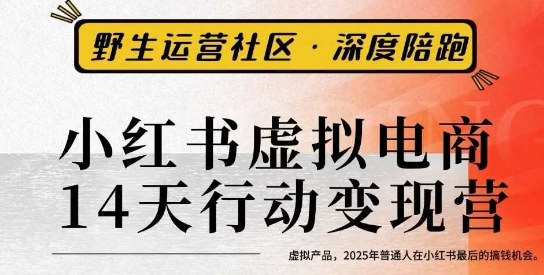 小红书虚拟电商14天变现训练营3.0，虚拟产品，2025年普通人在小红书最后的搞钱机会-心思维创富网_网上创业教程_网络创业项目