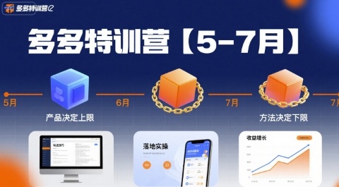 多多特训营，产品决定上限，方法决定下限，各种玩法技巧落地实操(更新)-心思维创富网_网上创业教程_网络创业项目