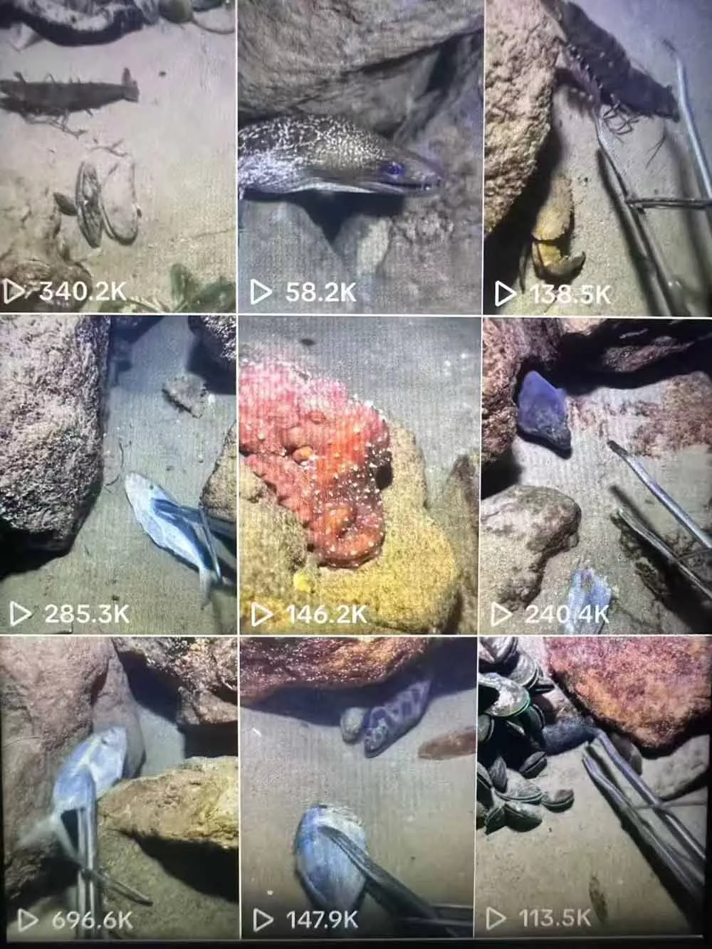 Tiktok中视频解说教程，体育+温情文案双赛道实操教程一站式带你落地