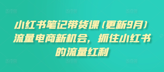 小红书笔记带货课(更新25年9月)流量电商新机会，抓住小红书的流量红利-心思维创富网_网上创业教程_网络创业项目