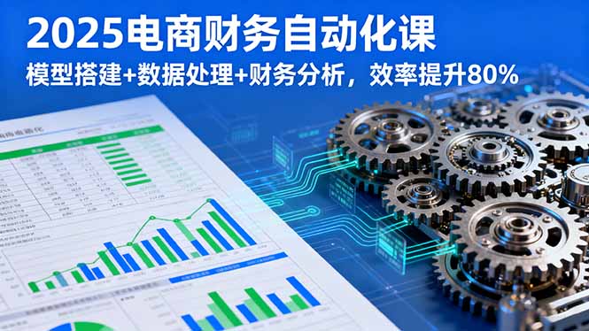2025电商财务自动化课，模型搭建+数据处理+财务分析，效率提升80%-心思维创富网_网上创业教程_网络创业项目