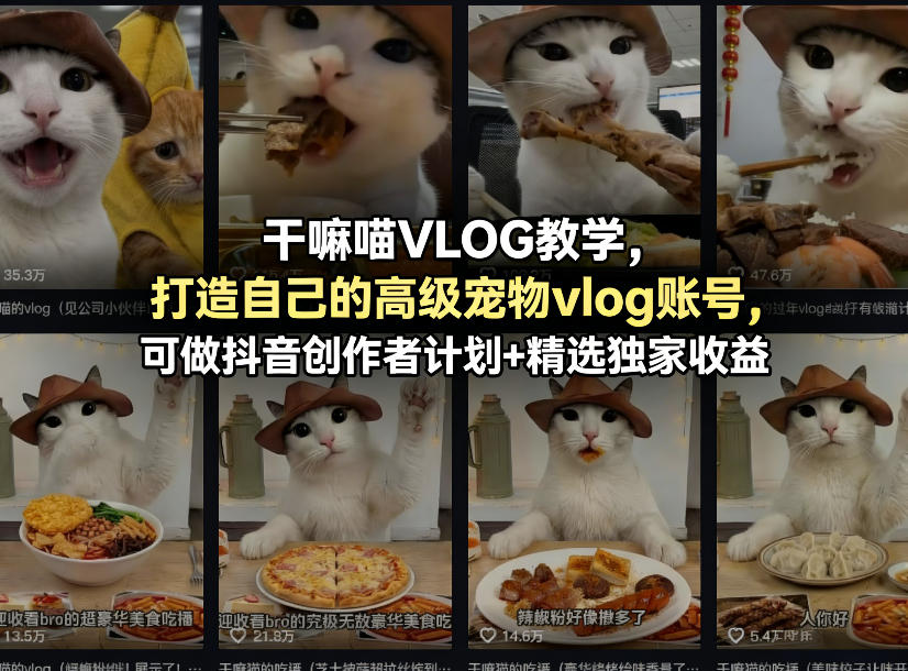 干嘛喵VLOG教学，打造自己的高级宠物vlog账号，可做抖音创作者计划+精选独家收益-心思维创富网_网上创业教程_网络创业项目