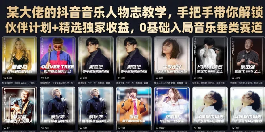 某大佬的抖音音乐人物志教学，手把手带你解锁伙伴计划+精选独家收益，0基础入局音乐垂类赛道-心思维创富网_网上创业教程_网络创业项目